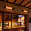 Surya Electric Ceiling Mounted Patio Heater
