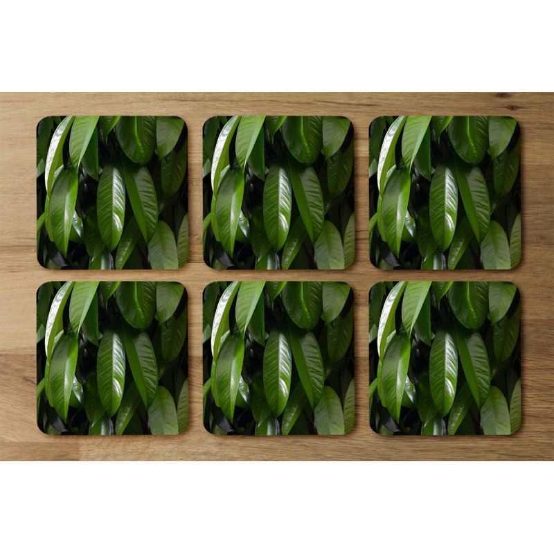 Dragoy Square 6 Piece Coaster Set