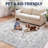 Arabella Vintage Floral Border Machine-Washable Rug-458242453-458242450