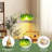 Pendant Light With Plug