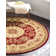 Aracelia Floral Indoor Rug