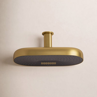 Statement 18" 2.5 GPM Oblong Rainhead