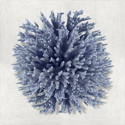 Coral Indigo I by Caroline Kelly - Wrapped Canvas Print