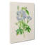 Illustration Of Lilac Rosemallow Flowers - Wrapped Canvas-55362910