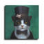 «Tuxedo Cat» par Lucia Heffernan-842711424