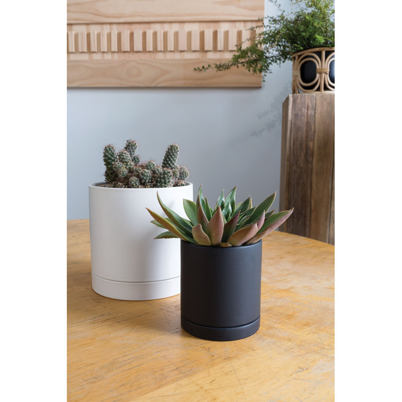 Pot de fleurs en céramique Carlotta, Noir, H 4,75 po x l 4,25 po x P 4,25 po