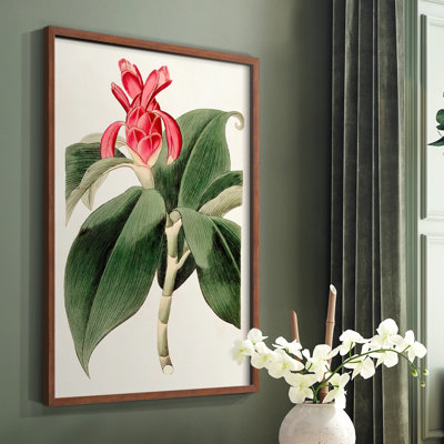 Flora of the Tropics I Framed Print - Solid Wood
