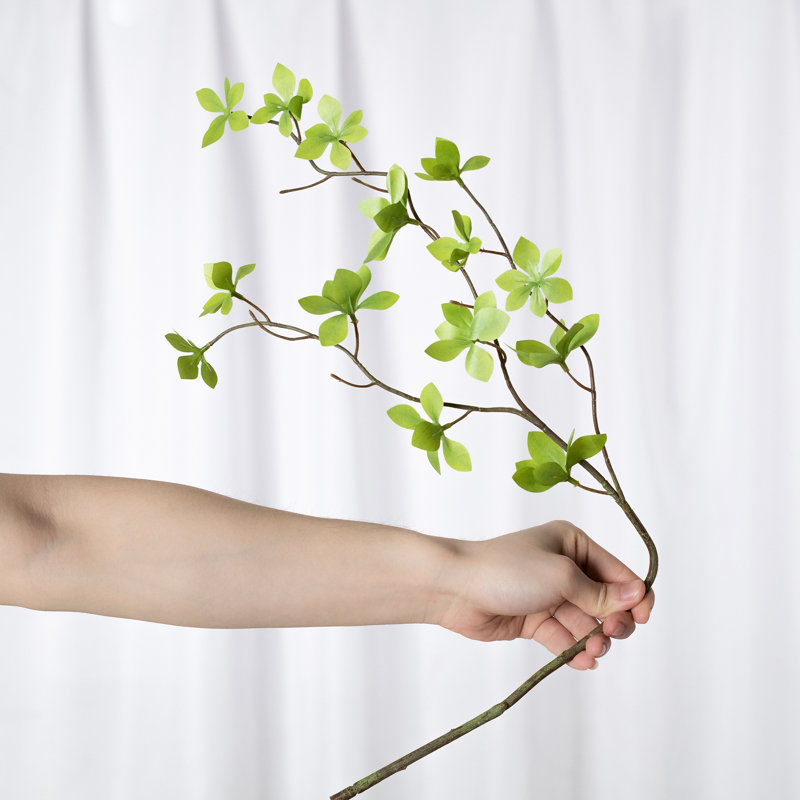 1 branche verte Audet Enkianthus Perulatus artificielle, H 26,91 po x l 0,8 po x P 0,8 po