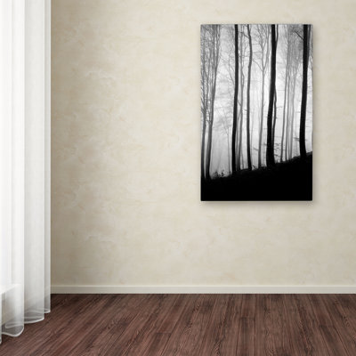 «Black Lines» par Philippe Sainte-Laudy - reproduction de photo sur toile