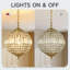 Allie Crystal 1-Light Globe Chandelier