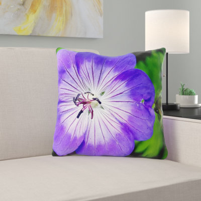 Coussin cranesbill