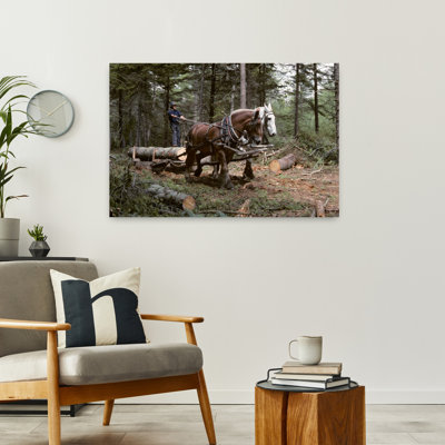 1980S Young Man Logging With Team Of Draft Horses Woolwich Maine Usa Contemporary Pine Tree Horse Animal Wall Art