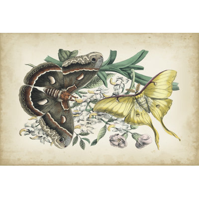 Fanciful Flight I by John Wiek - Wrapped Canvas Painting