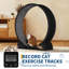 Accessory-822031462