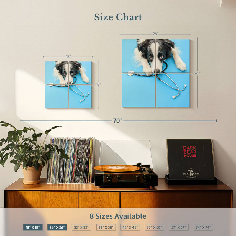 Brampt Dog Doctor, H 18 po x l 18 po