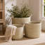 3 Piece Seagrass General Basket Set