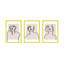 Figure and Form. Set of 3 by Romina Gadler - Framed Wall Art-395959845-395959855