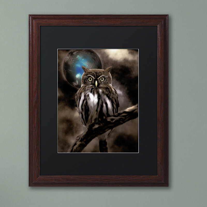 «Jadaya Night Owl» par Color Bakery, impression encadrée, H 20 po x l 16 po x P 0,5 po, Toile avec cadre en bouleau, Noir