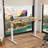 Oishee Electric Adjustable Standing Desk-1698230345-1698230346