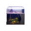Aquarium 52-63 gallons-809642571