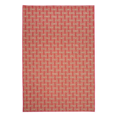 Tapis d'intérieur / extérieur Dareus
