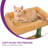 ?60In Cactus Cat Tree, Multi-Level Tall Cat Tower For Indoor Cats, Large Cat Condo For 2-3 Cats