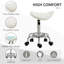 Lab Stool