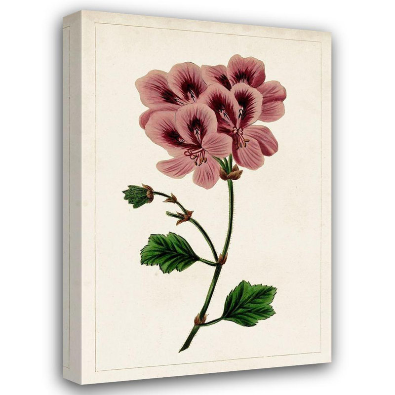 Art sur toile tendue Lark Manor ™ Inconnu: Mauve Botanicals III, H 48 po x l 33 po