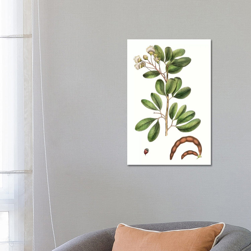 Foliage and Blooms III 1 Piece Wrapped Canvas Wall Art, 66.04cm H x 45.72cm W