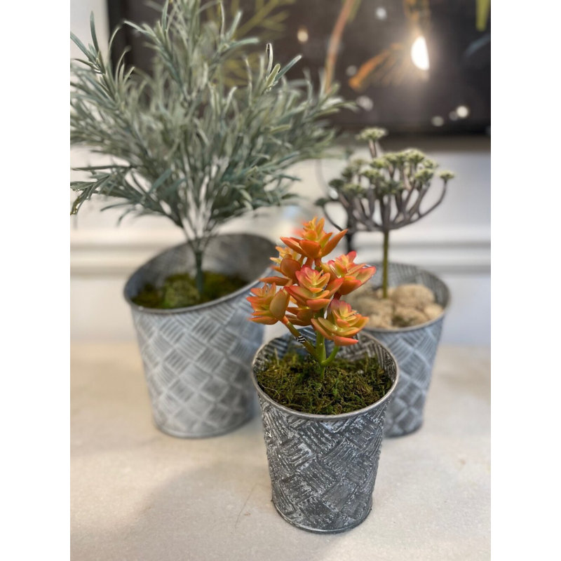 Pot de fleurs en métal - ensemble de 3