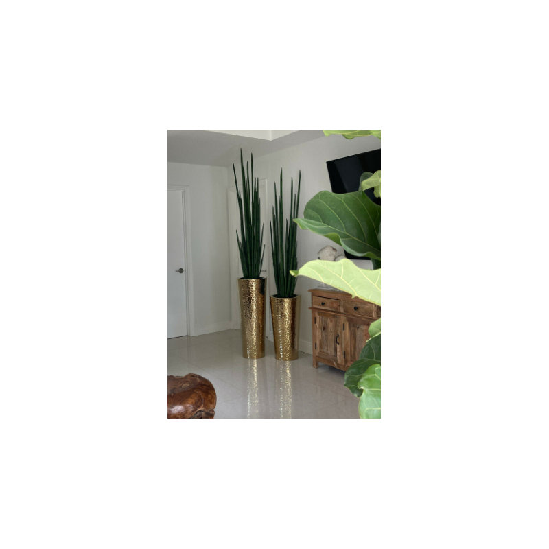 Faux Snake Plant (Sansevieria) Grass