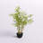 36'' Faux Bamboo Tree in Fiberstone Vase