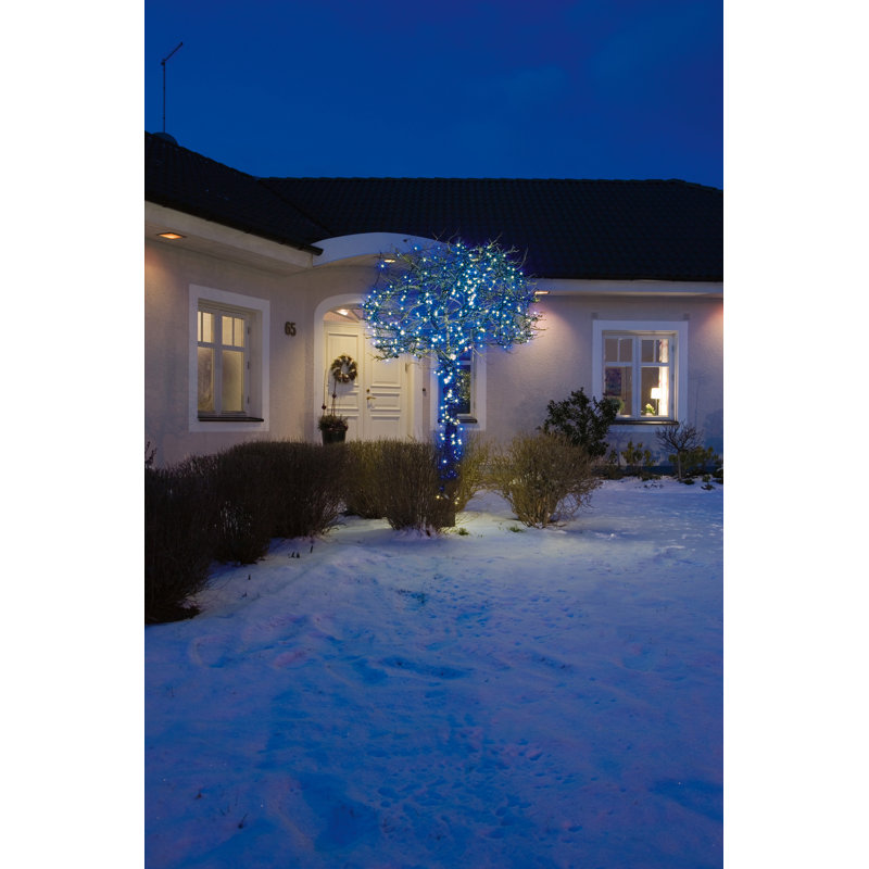 2904cm LED 120 - Bulb Wide Angle LED String Light, Blue/Amber White