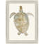 Neutral Turtle I
