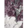 Boisy Abstract Area Rug