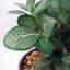 55.88cm Faux Mosaic Plant in Pot-416601037