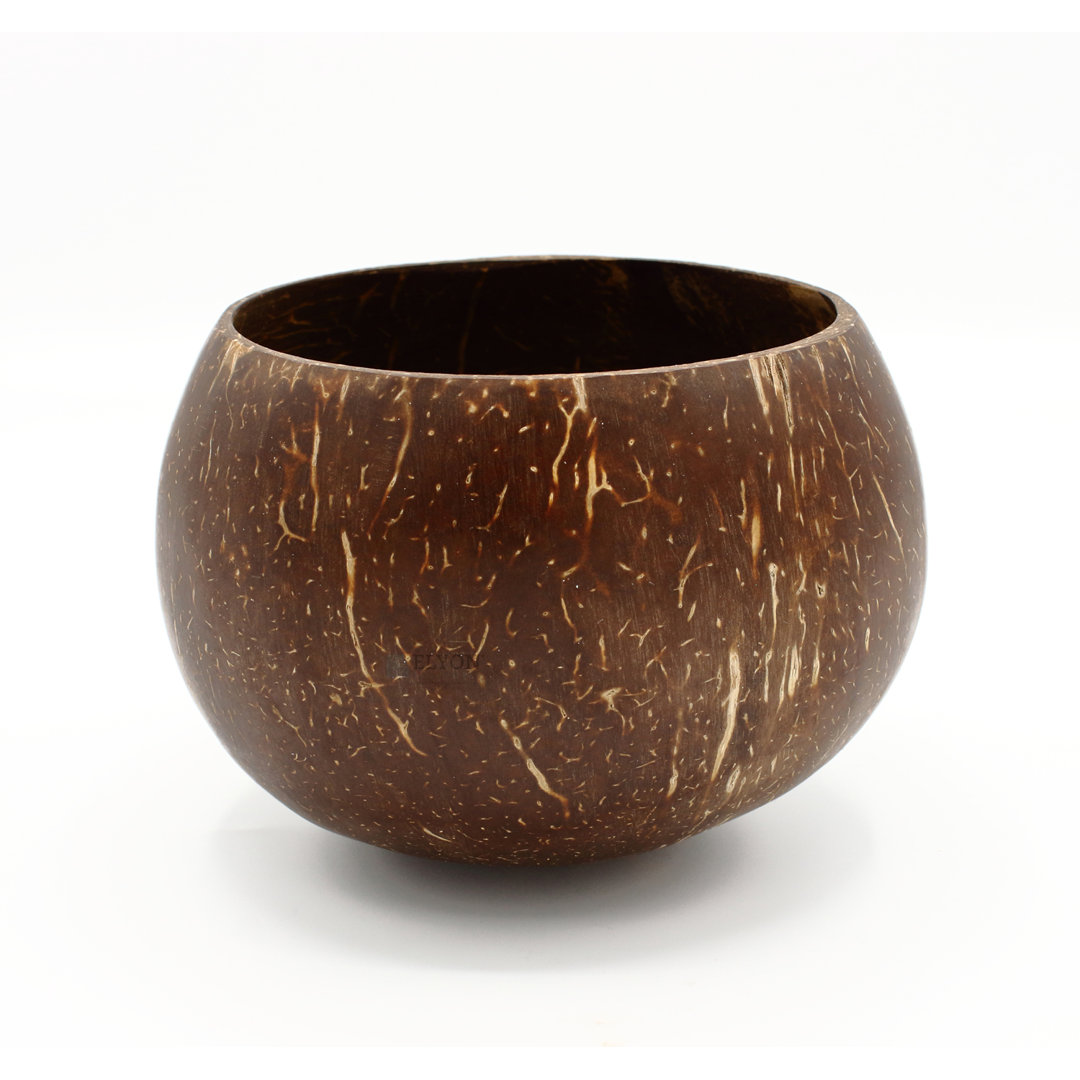 Elyon Handcrafted Large Coconut Bowl Dinnerware Set With Utensils Elyon Tableware