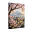 Plantes et fleurs Cherry Blossoms Castle Mountain Paysage de printemps-1230344832