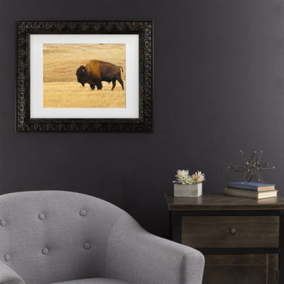 Art mural encadré - Décoration murale «Buffalo» de Mitch Catanzaro avec cadre mat - Art du salon, de la cuisine et de la salle de bain - 11 x 14