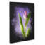 Purple Tulip Flower - Wrapped Canvas-64075623