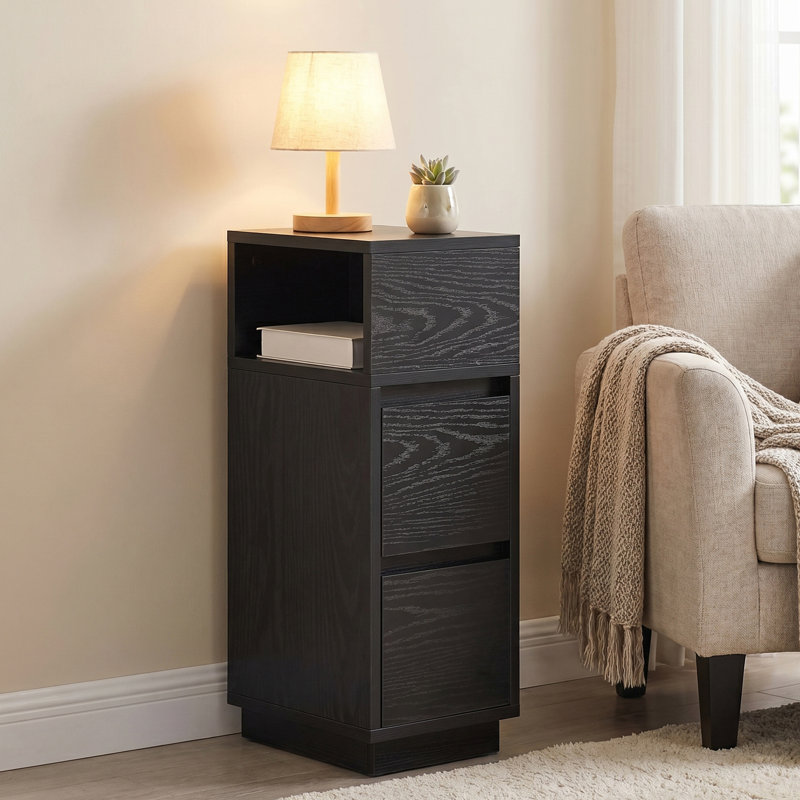 Anushan 25cm W Manufactured Wood Bedside Table, Black