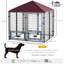 Cat Cage