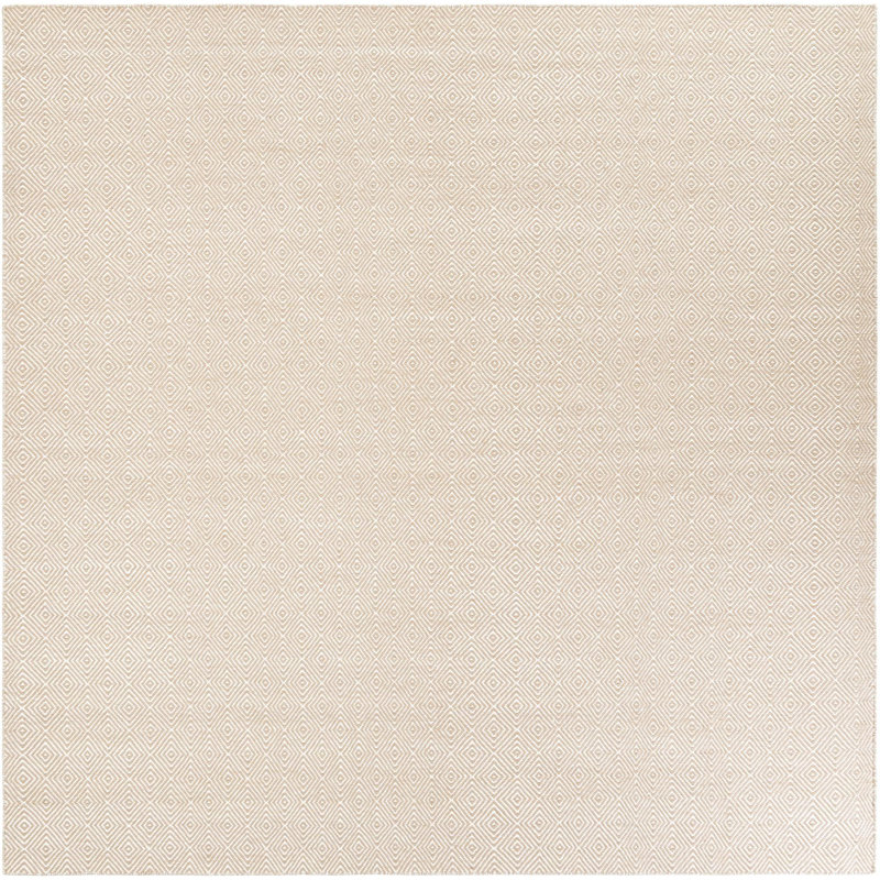 Contemporary Ohara Area Rug Beige Color, Square 10'