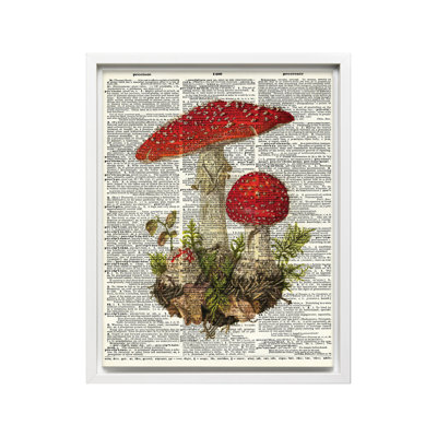 Fly Agaric Mushroom