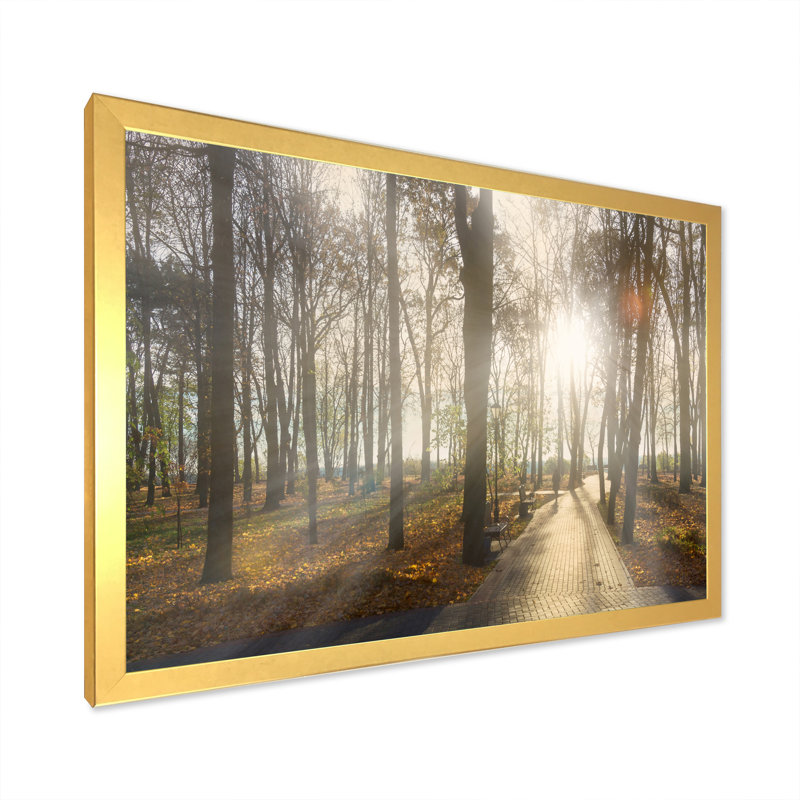 «Path by Melancholique Forest IV», reproduction sur toile flottante, H 8 po x l 12 po x P 1 po, Cadre photo doré