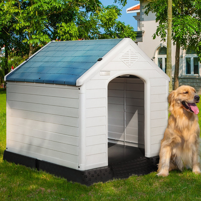 Niche pour chien en plastique Aunyae, H 39,5 po x l 38 po x P 42 po, Bleu