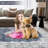 Washable Floral Rug Non-Slip Modern Farmhouse Living Room Carpet, Non-Shedding Low Pile Floor Mats, Foldable Print Accent Indoor Rug for Bedroom, Playroom, Nursery-1584064033-1584064032