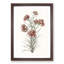 Six Carnations by Johan Teyler - Picture Frame Painting Print-55619089-55619091