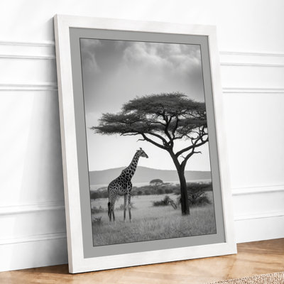 Giraffe Under Acacia Vintage - Framed Print