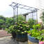 Arche de jardin en métal avec support pour plante grimpante, H81,1 po